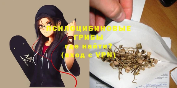 mdpv Новозыбков