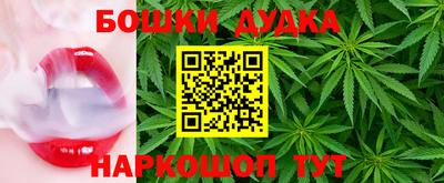 PSILOCYBIN Канаш