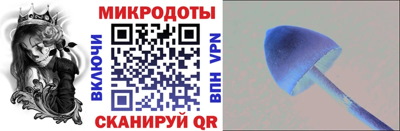 где купить наркоту  Лесозаводск  Галлюциногенные грибы Psilocybe 