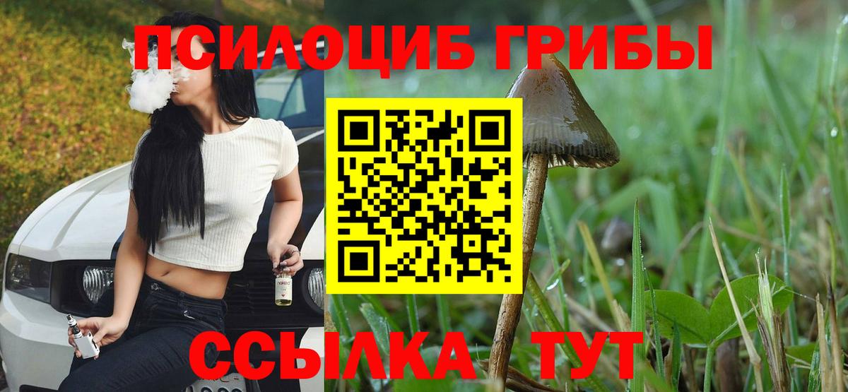 Лесозаводск  Галлюциногенные грибы ЛСД  Вход с VPN 